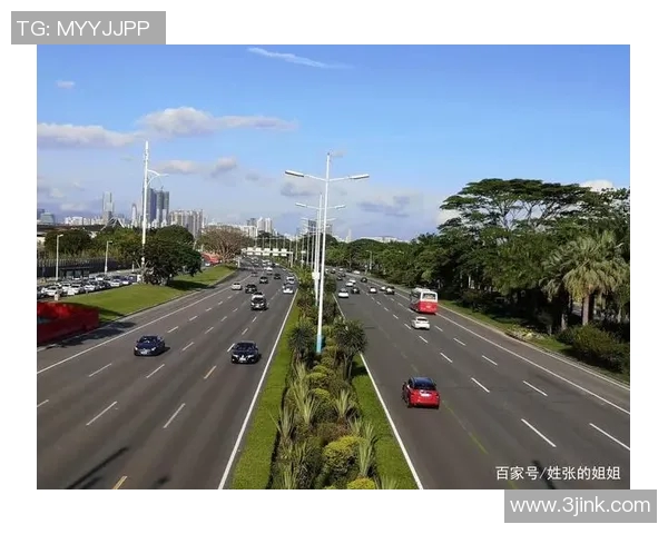 乒乓球场上的追梦旅程:吴伟的奋斗与成长故事